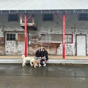 Meet your Posher, Daniela